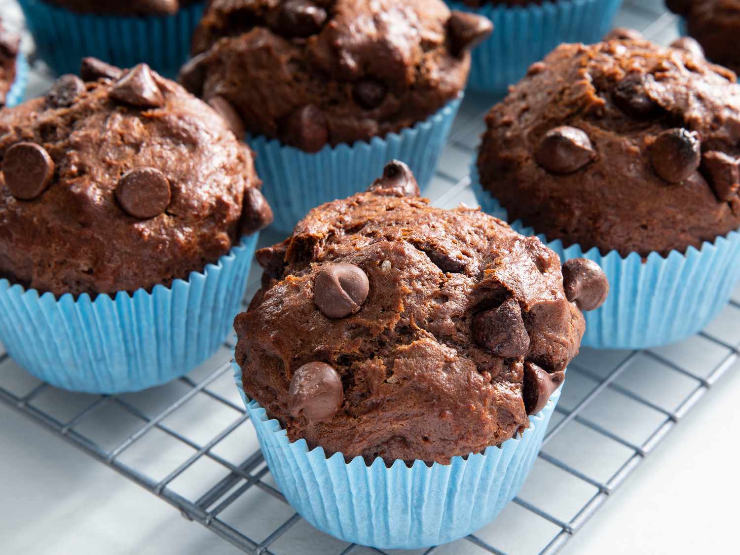 Chocolate Muffin