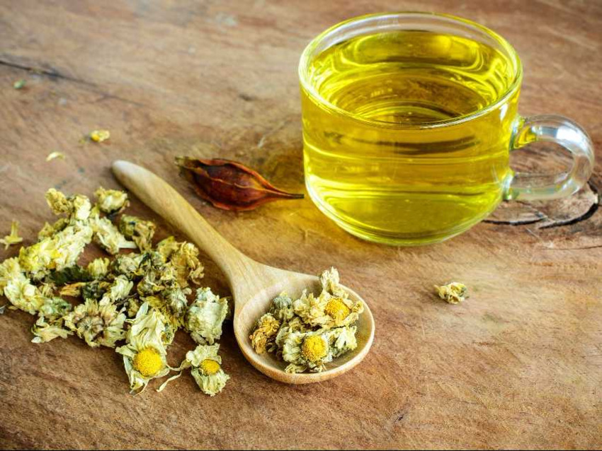 Trà hoa cúc lạnh