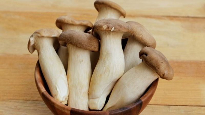 Nấm đùi gà