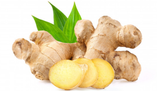 Gừng 1 nhánh lớn